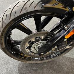 2023 Indian SCOUT Grey