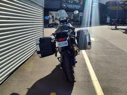 2023 Triumph Tiger 900 Rally Pro Tiger Green