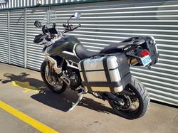 2023 Triumph Tiger 900 Rally Pro Tiger Green