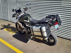 2023 Triumph Tiger 900 Rally Pro Tiger Green