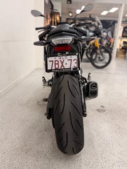 2024 BMW Motorrad F 900 R Black