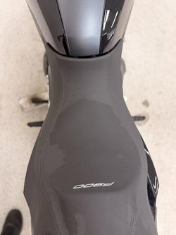 2024 BMW Motorrad F 900 R Black