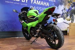 2025 Kawasaki NINJA 500 SE (LAMS) Green