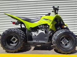 Yamaha Raptor 110 (YFM110R)