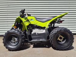2026 Yamaha Raptor 110 (YFM110R) Raptor Green