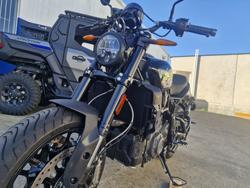 2025 Indian FTR Black and lime