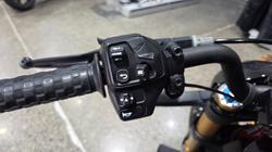 2022 Indian FTR R 1200 CARBON Black