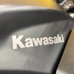 2020 Kawasaki NINJA 400 Red