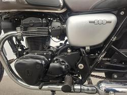 2019 Kawasaki W800 STREET (EJ800) Grey