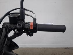 2019 Kawasaki W800 STREET (EJ800) Grey