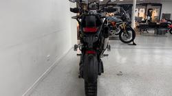 2026 Triumph TIGER 1200 RALLY PRO DESERT CRYSTAL WHITE
