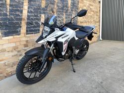 2026 SUZUKI V-STROM 250SX DUAL PURPOSE WHITE