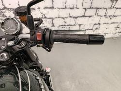 2021 Kawasaki Z900RS (Z900C) Z Green