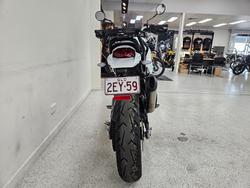 2023 DUCATI DESERTX White