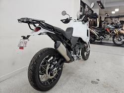 2023 DUCATI DESERTX White