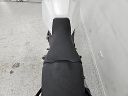 2023 DUCATI DESERTX White