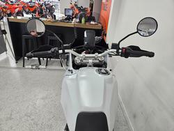 2023 DUCATI DESERTX White