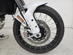2023 DUCATI DESERTX White