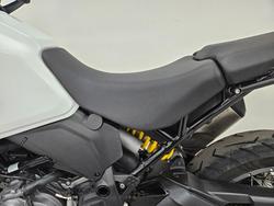 2023 DUCATI DESERTX White