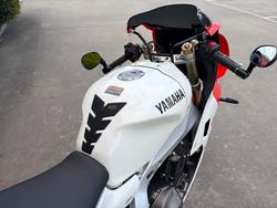 2024 Yamaha XSR900GP (MTM890ASP)