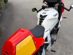 2024 Yamaha XSR900GP (MTM890ASP)