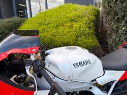 2024 Yamaha XSR900GP (MTM890ASP)