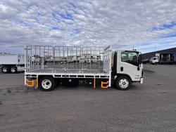 2025 Isuzu N Series NQR 88/80-190 AM D42 WHITE