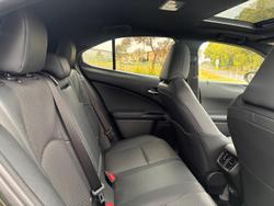 2026 Lexus UX 300h Sport Luxury