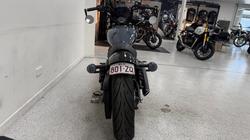 2022 INDIAN SCOUT ROGUE grey