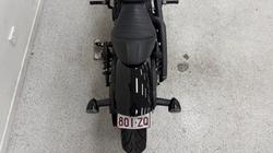 2022 INDIAN SCOUT ROGUE grey
