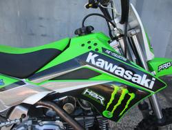 2019 Kawasaki KLX110 GREEN