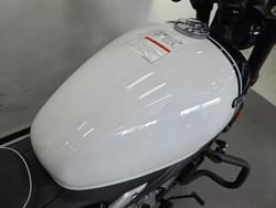 2026 CFMOTO 450 CL-C NEBULA WHITE