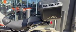 2024 Triumph Tiger 900 Rally Pro Tiger Grey