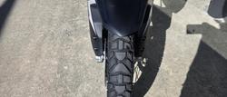 2024 Triumph Tiger 900 Rally Pro Tiger Grey