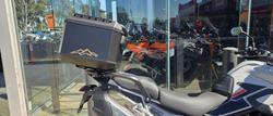 2024 Triumph Tiger 900 Rally Pro Tiger Grey