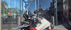 2024 Triumph Tiger 900 Rally Pro Tiger Grey