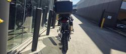 2024 Triumph Tiger 900 Rally Pro Tiger Grey