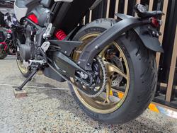 2026 Triumph TRIDENT 800 GREY