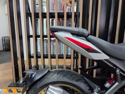 2026 Triumph TRIDENT 800 GREY