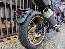 2026 Triumph TRIDENT 800 GREY