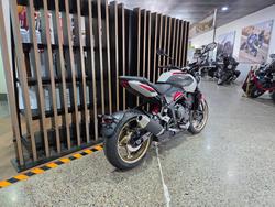 2026 Triumph TRIDENT 800 GREY