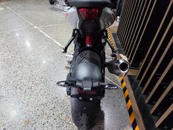 2026 Triumph TRIDENT 800 GREY