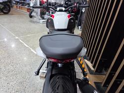 2026 Triumph TRIDENT 800 GREY