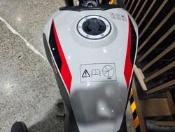 2026 Triumph TRIDENT 800 GREY