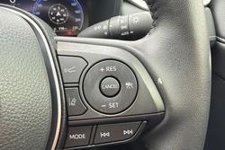 2025 Toyota RAV4 Cruiser