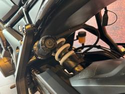 2023 Triumph Tiger Sport 660 Tiger Grey
