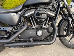 2019 HARLEY-DAVIDSON XL883N IRON 883 Black