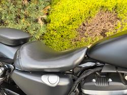 2019 HARLEY-DAVIDSON XL883N IRON 883 Black
