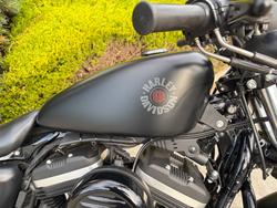 2019 HARLEY-DAVIDSON XL883N IRON 883 Black