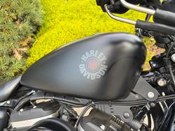 2019 HARLEY-DAVIDSON XL883N IRON 883 Black